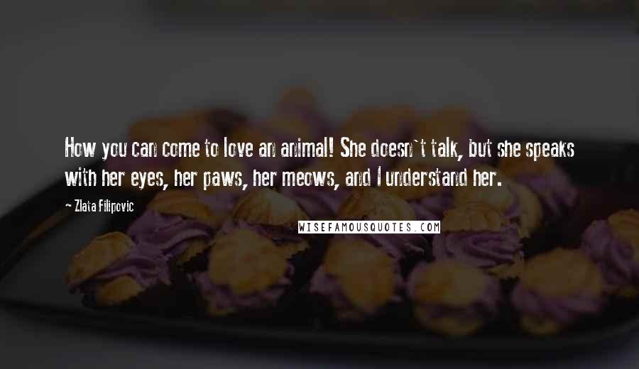 Zlata Filipovic Quotes: How you can come to love an animal! She doesn't talk, but she speaks with her eyes, her paws, her meows, and I understand her.