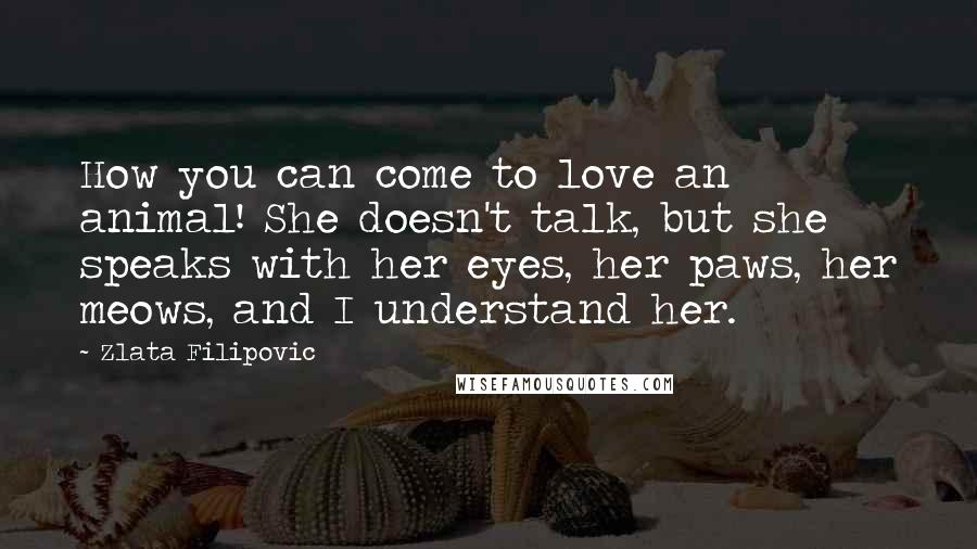 Zlata Filipovic Quotes: How you can come to love an animal! She doesn't talk, but she speaks with her eyes, her paws, her meows, and I understand her.