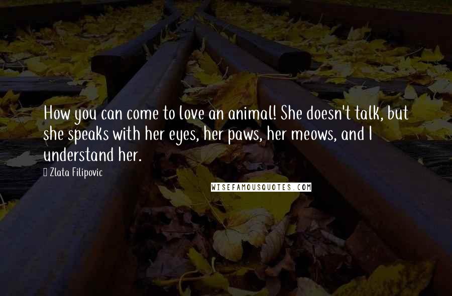 Zlata Filipovic Quotes: How you can come to love an animal! She doesn't talk, but she speaks with her eyes, her paws, her meows, and I understand her.