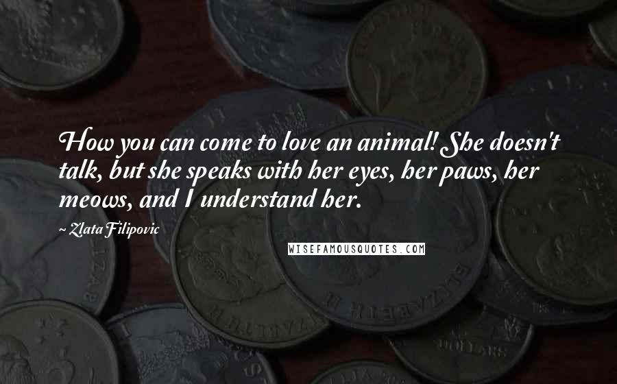 Zlata Filipovic Quotes: How you can come to love an animal! She doesn't talk, but she speaks with her eyes, her paws, her meows, and I understand her.