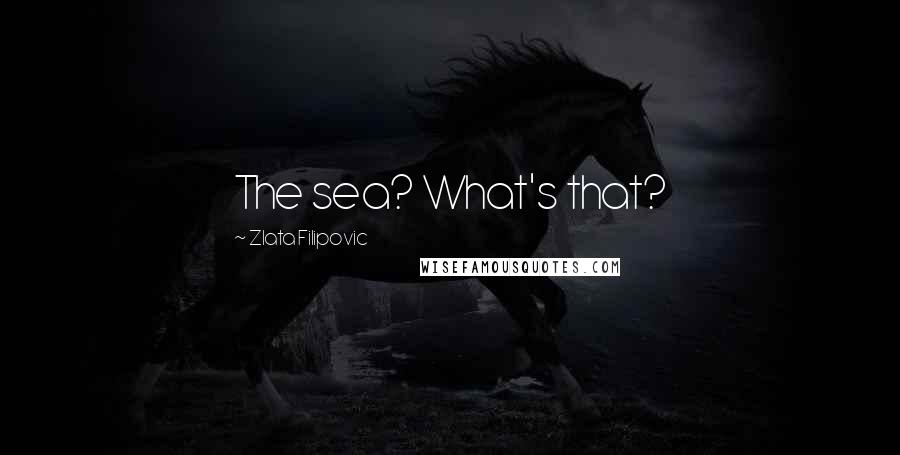 Zlata Filipovic Quotes: The sea? What's that?