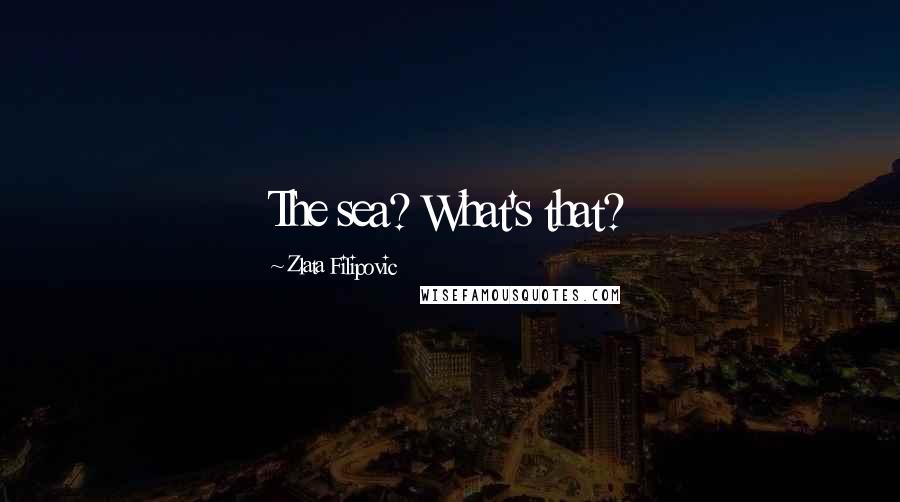 Zlata Filipovic Quotes: The sea? What's that?