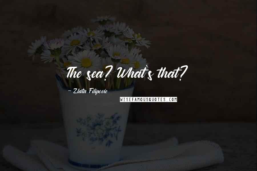 Zlata Filipovic Quotes: The sea? What's that?