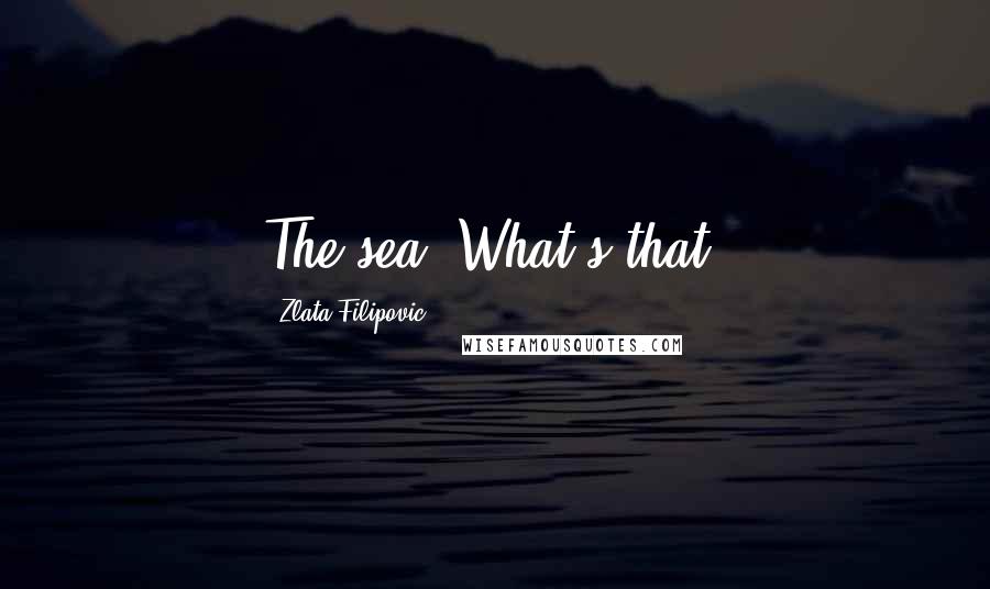 Zlata Filipovic Quotes: The sea? What's that?