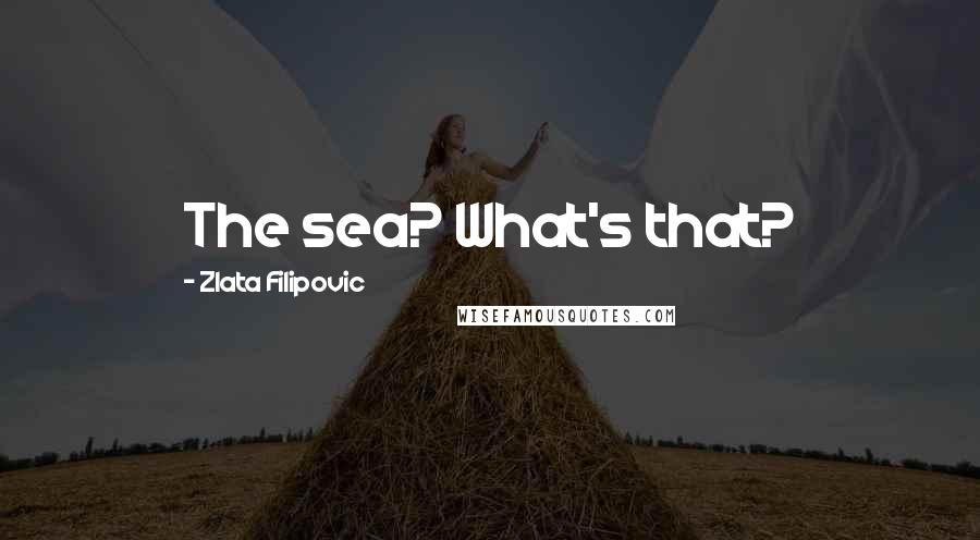 Zlata Filipovic Quotes: The sea? What's that?