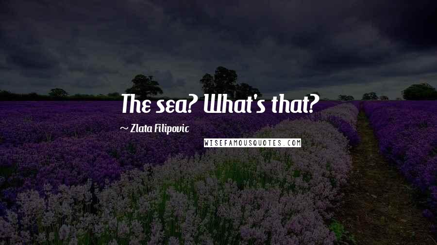 Zlata Filipovic Quotes: The sea? What's that?