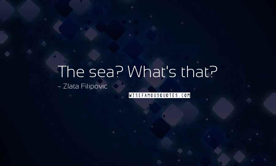 Zlata Filipovic Quotes: The sea? What's that?