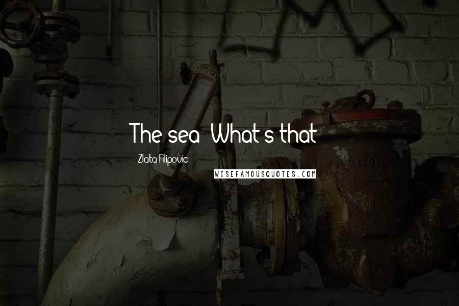 Zlata Filipovic Quotes: The sea? What's that?