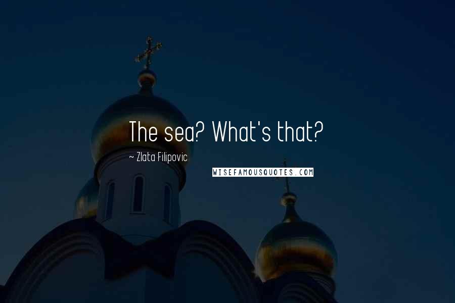 Zlata Filipovic Quotes: The sea? What's that?