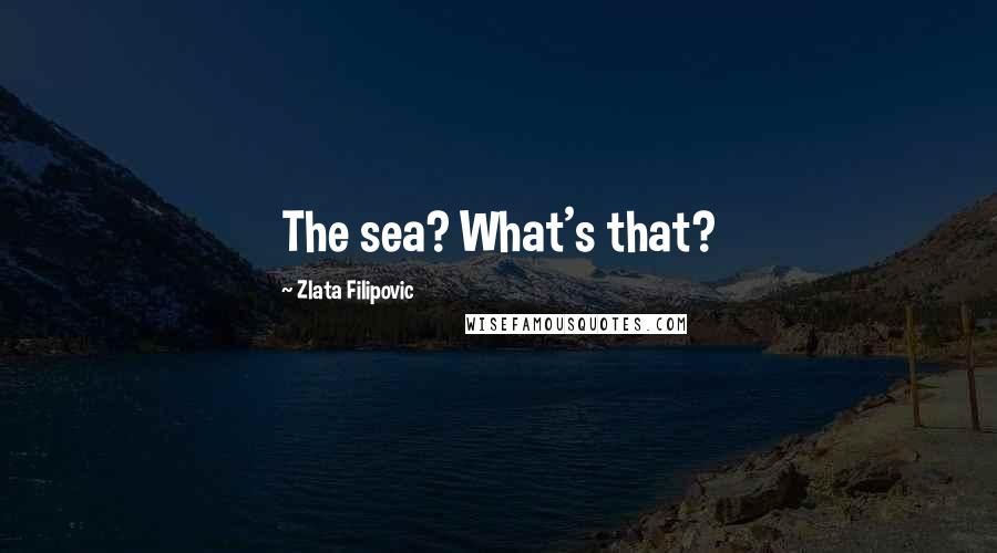 Zlata Filipovic Quotes: The sea? What's that?