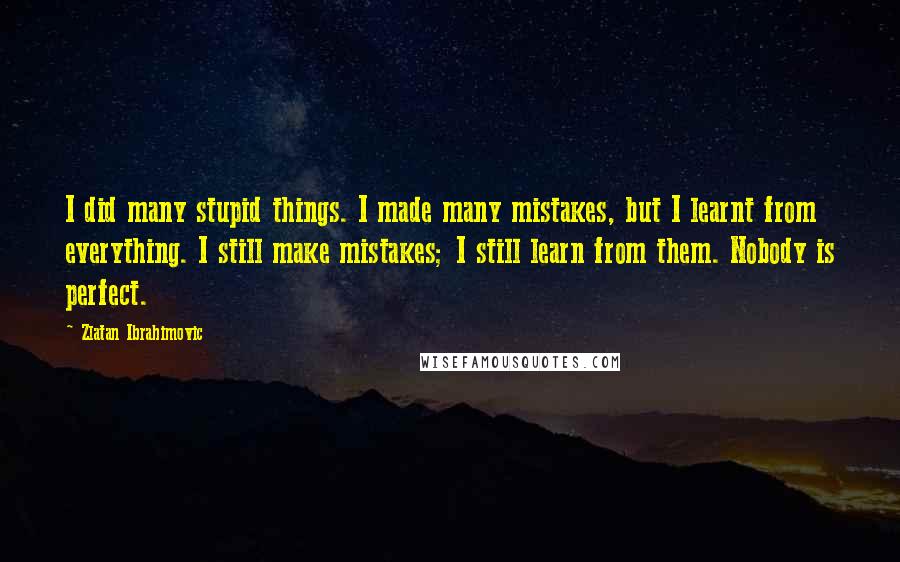 Zlatan Ibrahimovic Quotes: I did many stupid things. I made many mistakes, but I learnt from everything. I still make mistakes; I still learn from them. Nobody is perfect.