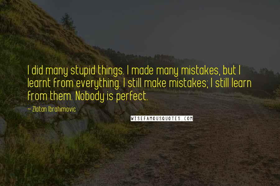 Zlatan Ibrahimovic Quotes: I did many stupid things. I made many mistakes, but I learnt from everything. I still make mistakes; I still learn from them. Nobody is perfect.