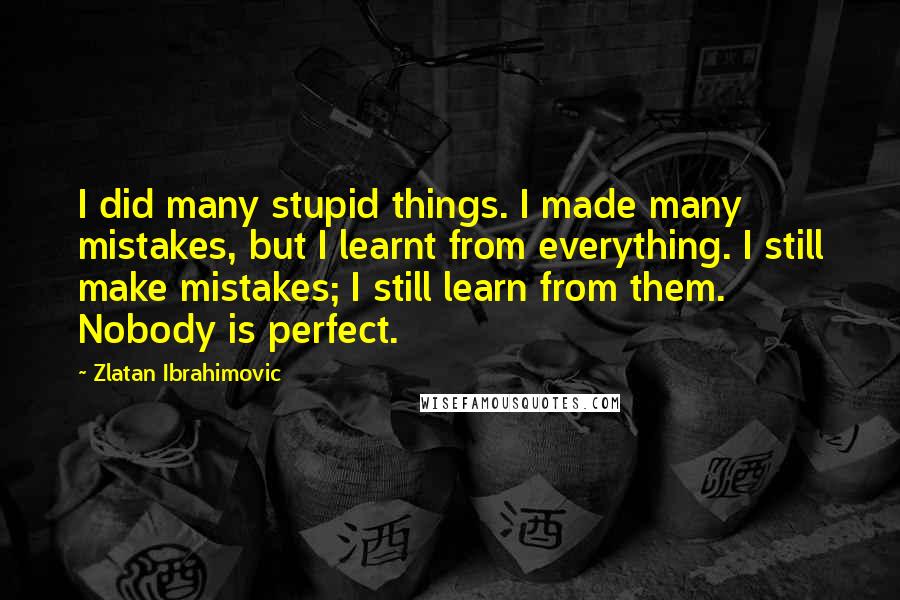 Zlatan Ibrahimovic Quotes: I did many stupid things. I made many mistakes, but I learnt from everything. I still make mistakes; I still learn from them. Nobody is perfect.