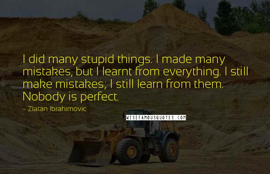 Zlatan Ibrahimovic Quotes: I did many stupid things. I made many mistakes, but I learnt from everything. I still make mistakes; I still learn from them. Nobody is perfect.