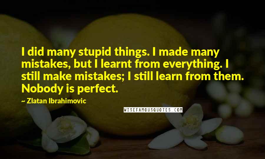 Zlatan Ibrahimovic Quotes: I did many stupid things. I made many mistakes, but I learnt from everything. I still make mistakes; I still learn from them. Nobody is perfect.