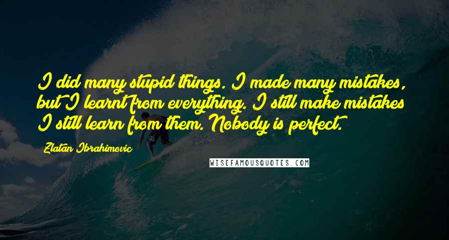 Zlatan Ibrahimovic Quotes: I did many stupid things. I made many mistakes, but I learnt from everything. I still make mistakes; I still learn from them. Nobody is perfect.