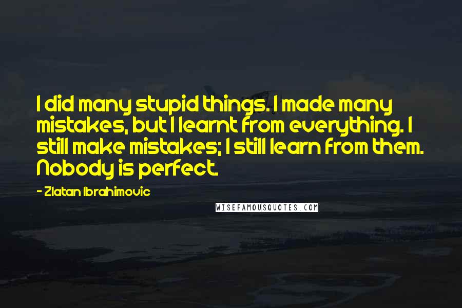 Zlatan Ibrahimovic Quotes: I did many stupid things. I made many mistakes, but I learnt from everything. I still make mistakes; I still learn from them. Nobody is perfect.