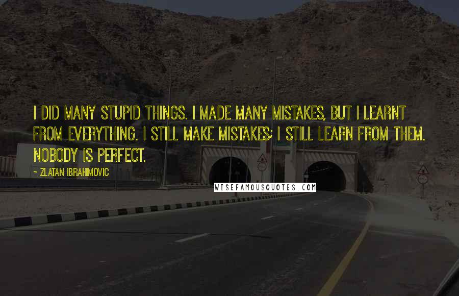 Zlatan Ibrahimovic Quotes: I did many stupid things. I made many mistakes, but I learnt from everything. I still make mistakes; I still learn from them. Nobody is perfect.