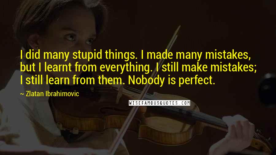 Zlatan Ibrahimovic Quotes: I did many stupid things. I made many mistakes, but I learnt from everything. I still make mistakes; I still learn from them. Nobody is perfect.