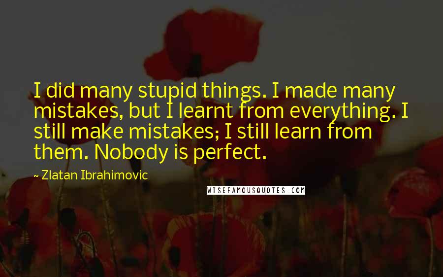 Zlatan Ibrahimovic Quotes: I did many stupid things. I made many mistakes, but I learnt from everything. I still make mistakes; I still learn from them. Nobody is perfect.