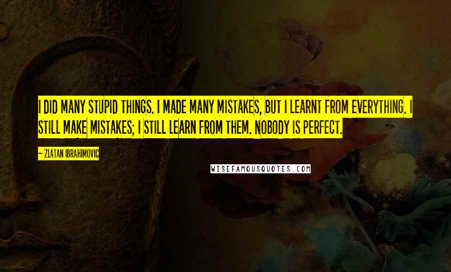 Zlatan Ibrahimovic Quotes: I did many stupid things. I made many mistakes, but I learnt from everything. I still make mistakes; I still learn from them. Nobody is perfect.