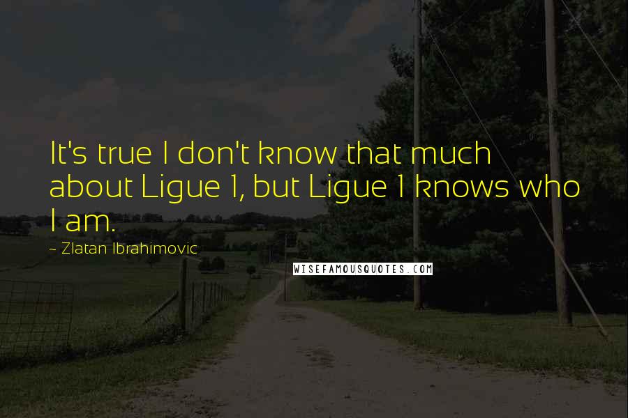 Zlatan Ibrahimovic Quotes: It's true I don't know that much about Ligue 1, but Ligue 1 knows who I am.