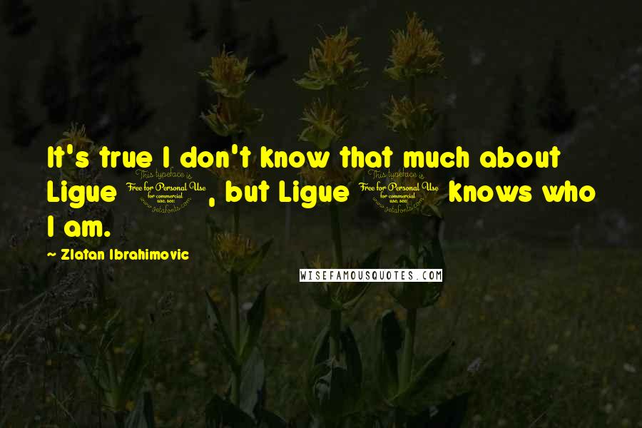 Zlatan Ibrahimovic Quotes: It's true I don't know that much about Ligue 1, but Ligue 1 knows who I am.