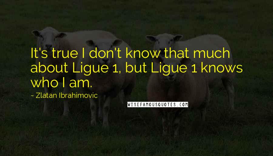 Zlatan Ibrahimovic Quotes: It's true I don't know that much about Ligue 1, but Ligue 1 knows who I am.