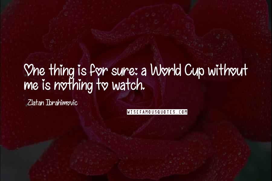 Zlatan Ibrahimovic Quotes: One thing is for sure: a World Cup without me is nothing to watch.