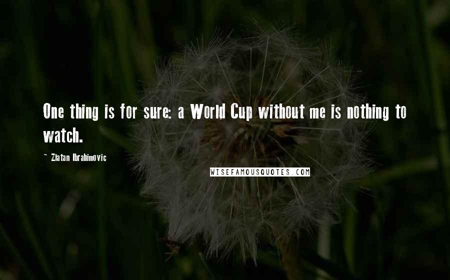 Zlatan Ibrahimovic Quotes: One thing is for sure: a World Cup without me is nothing to watch.