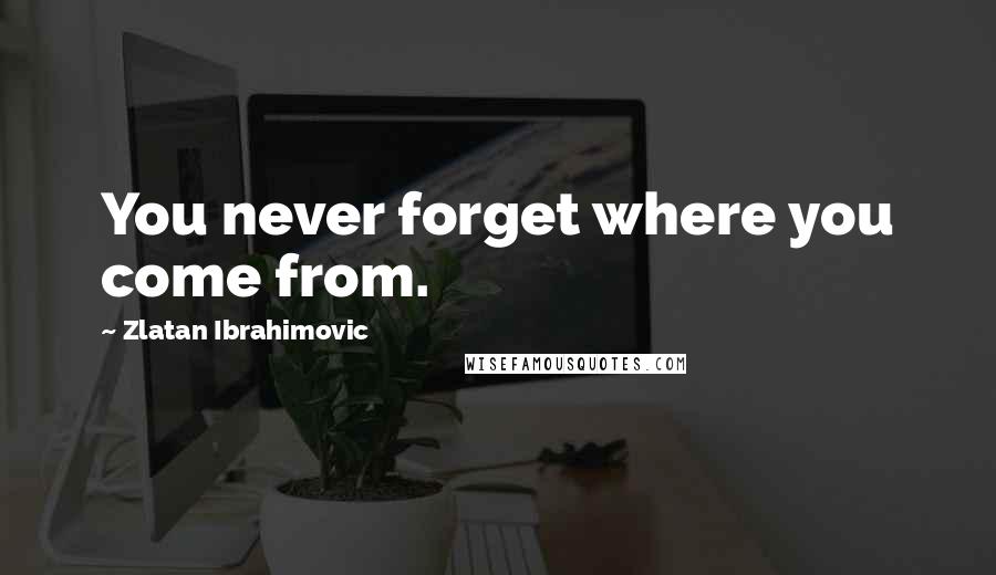 Zlatan Ibrahimovic Quotes: You never forget where you come from.