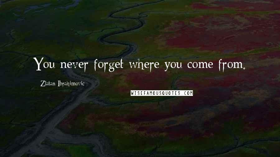 Zlatan Ibrahimovic Quotes: You never forget where you come from.