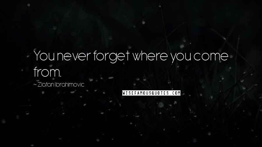 Zlatan Ibrahimovic Quotes: You never forget where you come from.