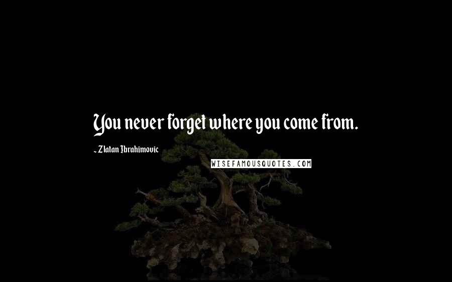 Zlatan Ibrahimovic Quotes: You never forget where you come from.