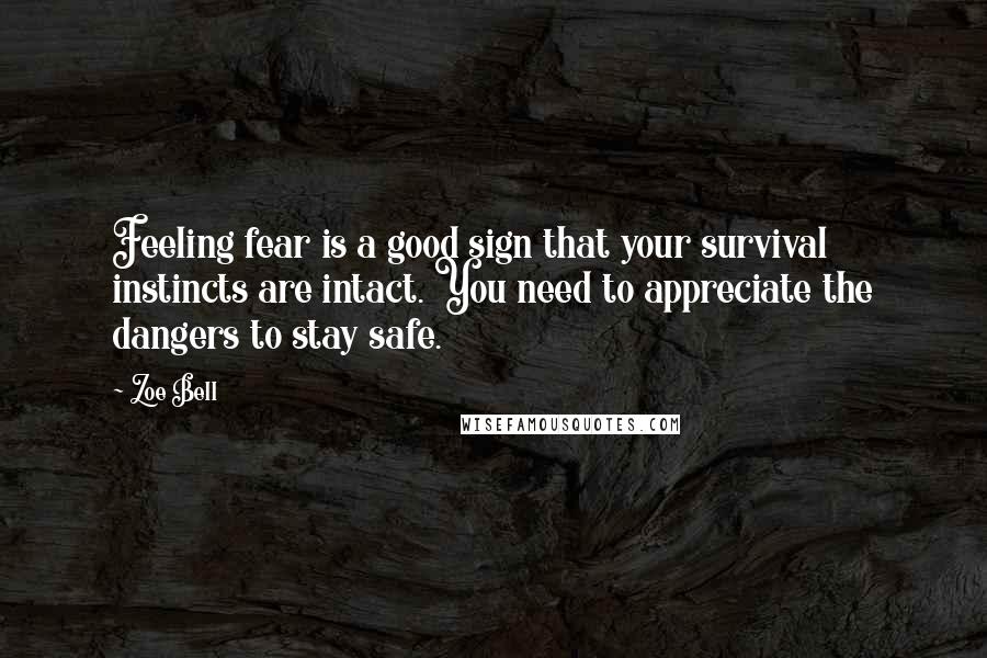 Zoe Bell Quotes: Feeling fear is a good sign that your survival instincts are intact. You need to appreciate the dangers to stay safe.