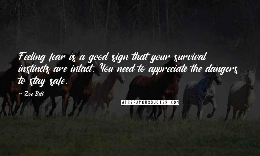 Zoe Bell Quotes: Feeling fear is a good sign that your survival instincts are intact. You need to appreciate the dangers to stay safe.