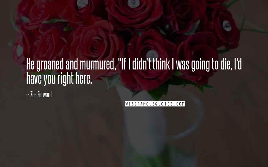 Zoe Forward Quotes: He groaned and murmured, "If I didn't think I was going to die, I'd have you right here.