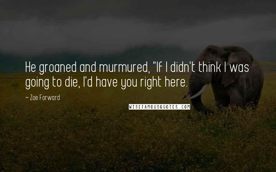 Zoe Forward Quotes: He groaned and murmured, "If I didn't think I was going to die, I'd have you right here.