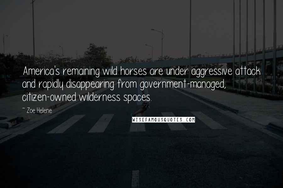 Zoe Helene Quotes: America's remaining wild horses are under aggressive attack and rapidly disappearing from government-managed, citizen-owned wilderness spaces.