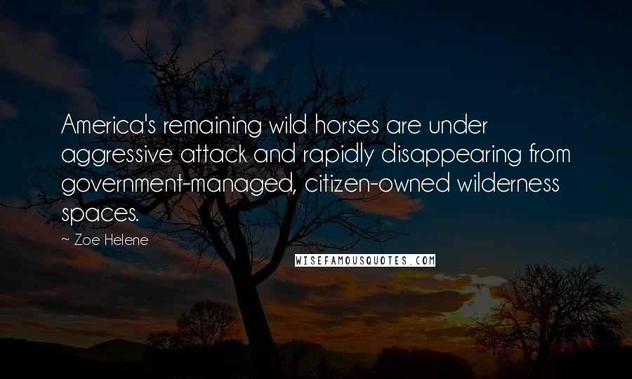 Zoe Helene Quotes: America's remaining wild horses are under aggressive attack and rapidly disappearing from government-managed, citizen-owned wilderness spaces.