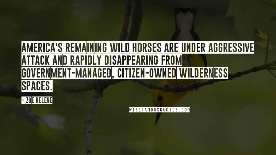 Zoe Helene Quotes: America's remaining wild horses are under aggressive attack and rapidly disappearing from government-managed, citizen-owned wilderness spaces.