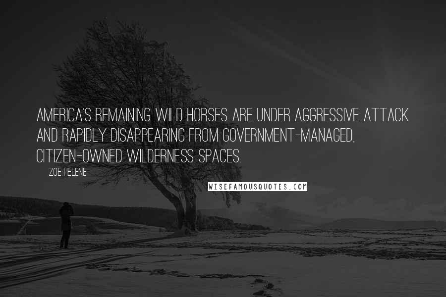 Zoe Helene Quotes: America's remaining wild horses are under aggressive attack and rapidly disappearing from government-managed, citizen-owned wilderness spaces.