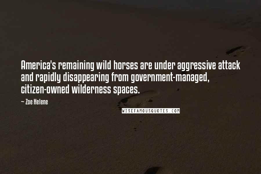 Zoe Helene Quotes: America's remaining wild horses are under aggressive attack and rapidly disappearing from government-managed, citizen-owned wilderness spaces.