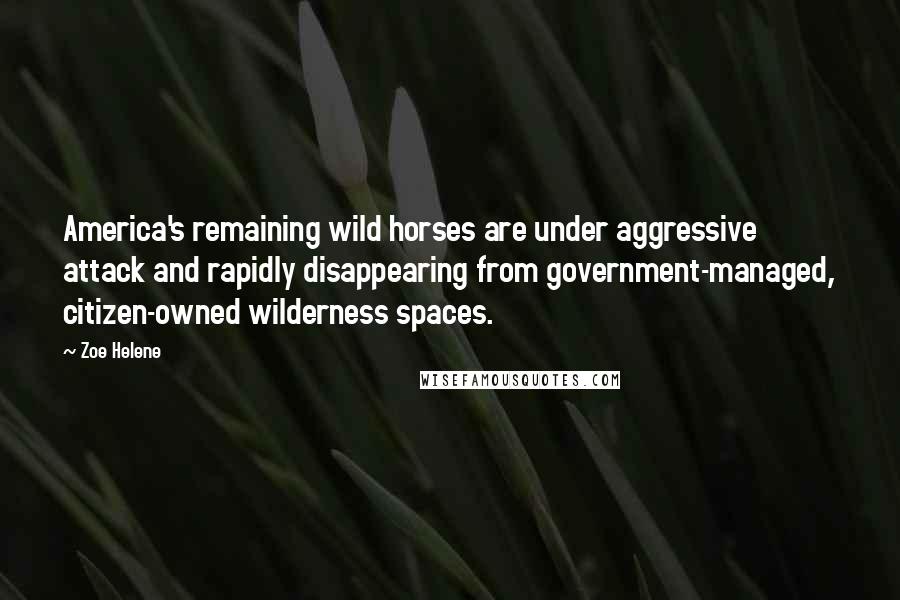 Zoe Helene Quotes: America's remaining wild horses are under aggressive attack and rapidly disappearing from government-managed, citizen-owned wilderness spaces.