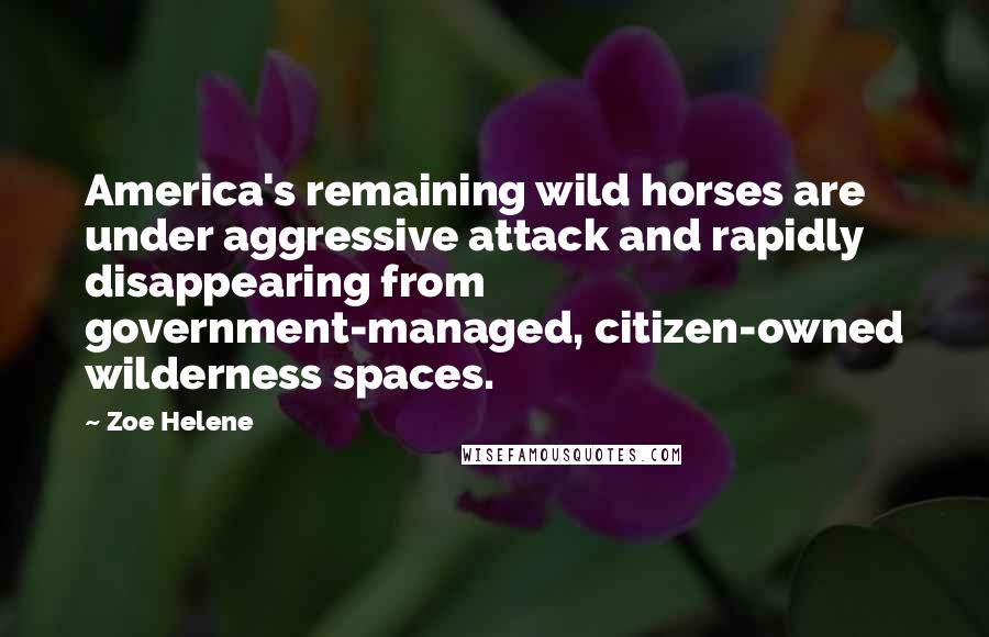 Zoe Helene Quotes: America's remaining wild horses are under aggressive attack and rapidly disappearing from government-managed, citizen-owned wilderness spaces.