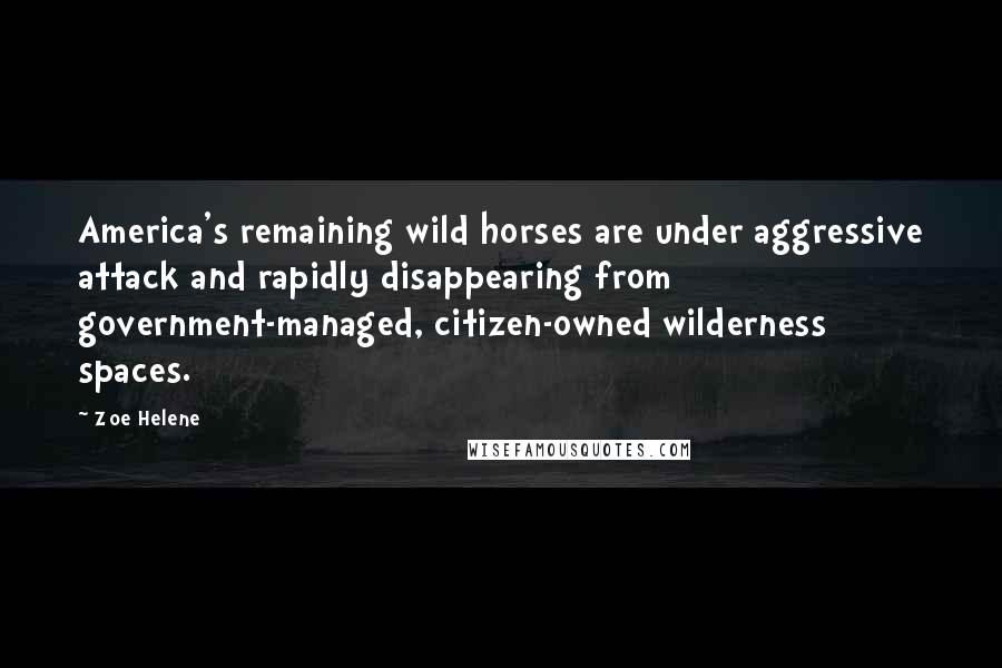 Zoe Helene Quotes: America's remaining wild horses are under aggressive attack and rapidly disappearing from government-managed, citizen-owned wilderness spaces.