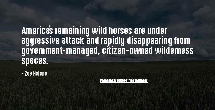 Zoe Helene Quotes: America's remaining wild horses are under aggressive attack and rapidly disappearing from government-managed, citizen-owned wilderness spaces.
