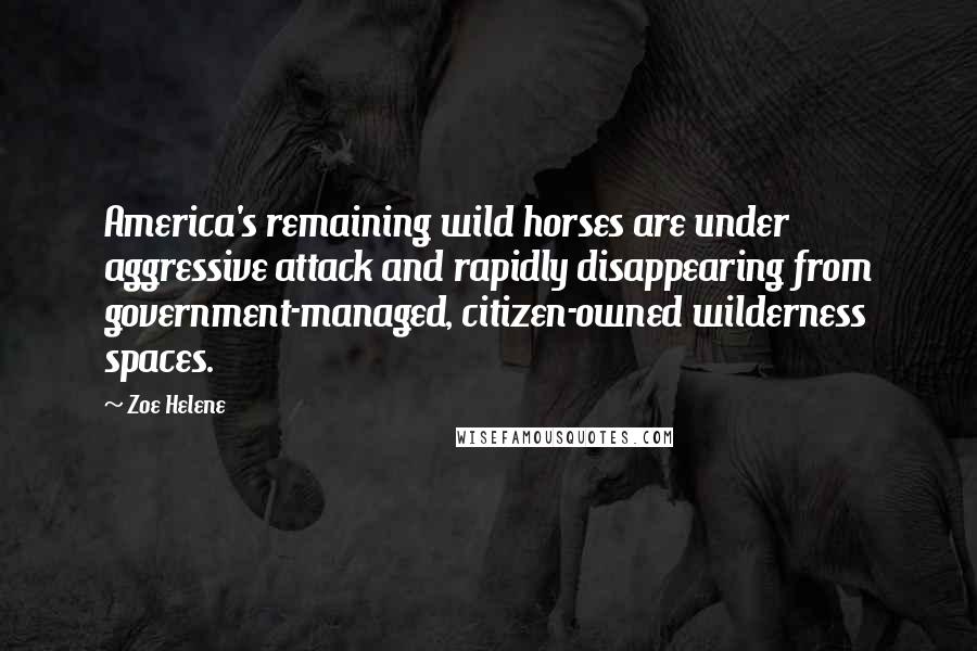 Zoe Helene Quotes: America's remaining wild horses are under aggressive attack and rapidly disappearing from government-managed, citizen-owned wilderness spaces.