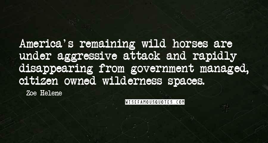 Zoe Helene Quotes: America's remaining wild horses are under aggressive attack and rapidly disappearing from government-managed, citizen-owned wilderness spaces.