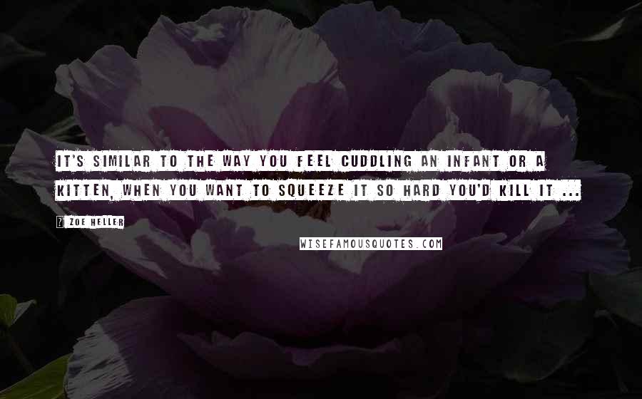 Zoe Heller Quotes: It's similar to the way you feel cuddling an infant or a kitten, when you want to squeeze it so hard you'd kill it ...